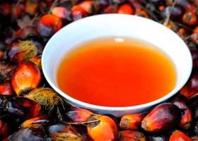 Почему пальмовое масло вредно для здоровья?