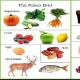 Paleo δίαιτα και πρωτόκολλο αυτοάνοσων ερευνών Paleo