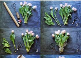 Πώς να συναρμολογήσετε γρήγορα και όμορφα ένα στρογγυλό μπουκέτο με τριαντάφυλλα, μαργαρίτες ή χρυσάνθεμα - οδηγίες από έναν ανθοπωλείο βήμα προς βήμα